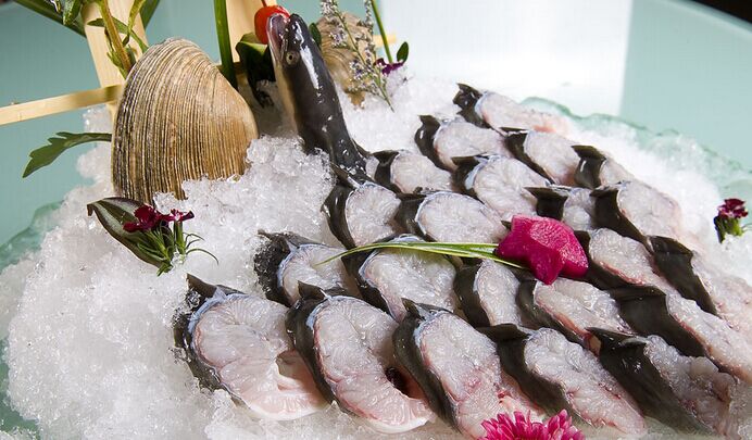 臺(tái)山鰻魚(yú)