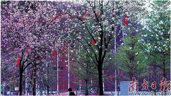花.jpg