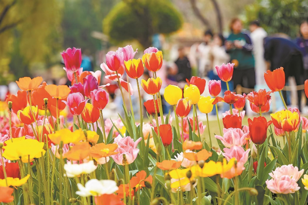 云臺花園.jpg