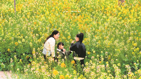 花海.jpg