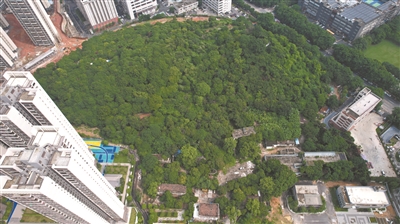 喇山遺址全景.jpg