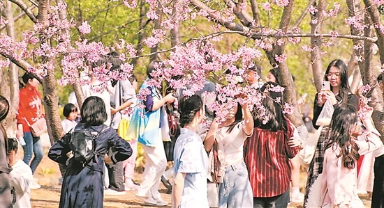 圖1.jpg