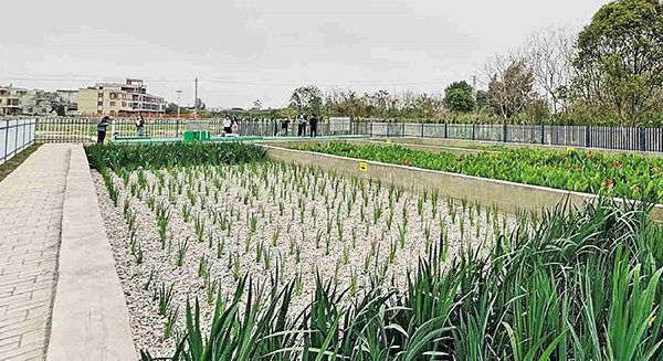 潮州饒平“一村一策”實(shí)施農(nóng)村生活污水治理提升 投資省下來 風(fēng)貌美起來
